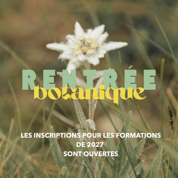 Publication Instagram Congés Été Entreprise Moderne Photo Beige