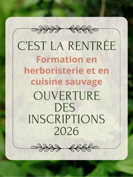 affiche rentrée 2026 - inscriptions ouvertes pour formation herboriste et cuisine sauvage à Hasparren 64